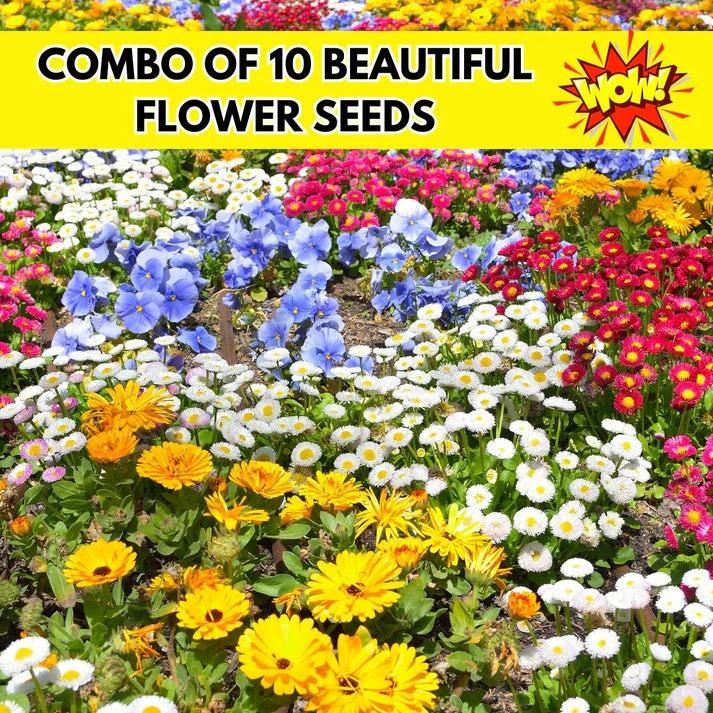 150 Variety of Organic Flower Seeds - Cheap bazar